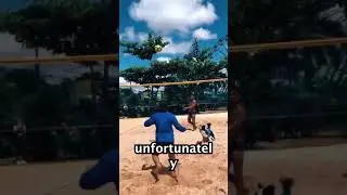 This Dog Plays Volleyball!