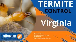 Termite Control Virginia