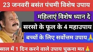 23 जनवरी बसंत पंचमी के दिन सरसो के फूल के 4 महाउपाय अवश्य करें#basantpanchami#pradeepmishra#katha 