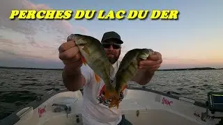 PECHE DE LA PERCHE en DROP SHOT  -  LAC DU DER 2022