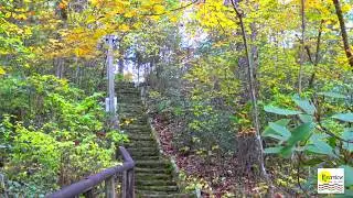 Riverview Fall Beauty
