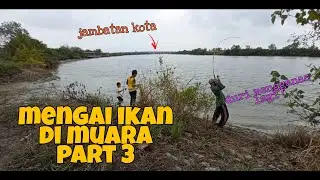 #EP136 Memancing Ikan Duri di Muara part 3