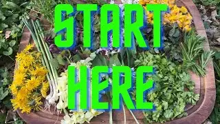 Foraging for Beginners in May