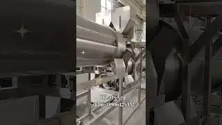 Coated Peanut Seasoning Machine Double Roller Flavoring Machine #flavoring WhatsApp:0086-18906425332