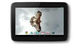 Alive video wallpapers for Android