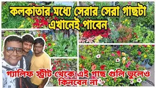 কলকাতার সেরা গাছের খনি! এত কম দামে গাছ পাবেন ভাবতেও পারবেন না | Galiff Street Plant Market |
