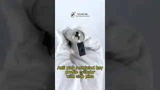 Restricted Keyway European Profile Cylinder with Side Pins