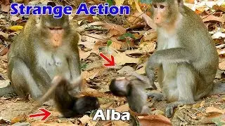 Strange action ! Baby Alba act scare viewers confuse her mom, Emotional Alba act surprise her mom
