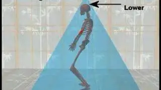 Tai Chi, The Pyramid View of the Body, and grounding