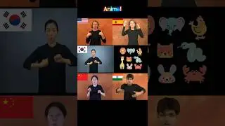 [World Sign Languages] How to Sign for animals in 5 Different Countries #signlanguage #shorts#animal