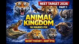 Animal Kingdom Part 1 | Level of Organisation & Symmetry | NEET PYQ + NCERT