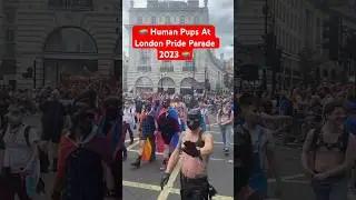 Human Pups At London Pride Parade 2023 #humanpup #humanpuppy #londonpride #pride2023 🌈