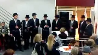Wenn die Elisabeth.MP4