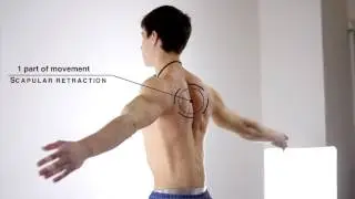 HANDStand Like a Piece of Cake(technique exercises)