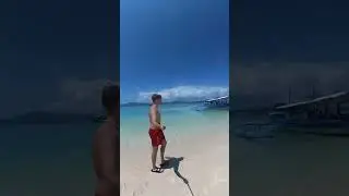 Hai Begegnung in den Philippinen! 🇵🇭🦈