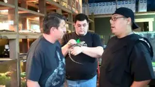 WCR Spotlight Presents: Chicago Reptile House  Celebrity Sig