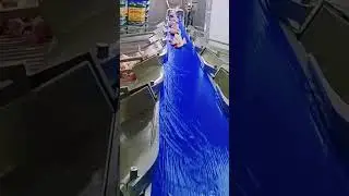 Revolutionize Poultry Processing! Whole Chicken Weight Sorter for Precise Sorting