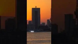 Япония оживает после наступления темноты!