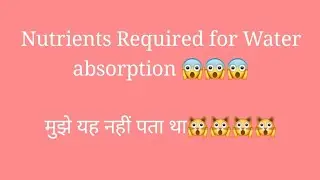 Importance of Nutrients for Water Absorption | Oh I didn't know this | #water #nutrition #healthcare