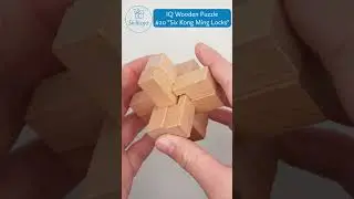 Skilltoyz IQ Wooden 3D Puzzle design 20 