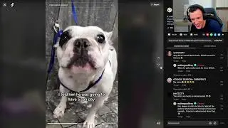 Kurt reacts to TikTok Clips | Part 3