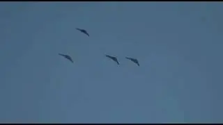 #Iran #IRGC #drones flight along the #border with #Azerbaijan