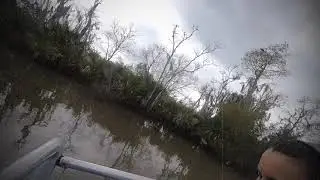 New Orleans Airboat 2020 01 03 04 15 03