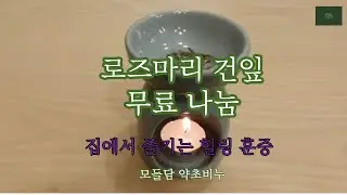 로즈마리 무료나눔  #로즈마리나눔 #소소한나눔 #생활케어