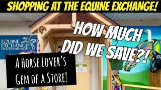 Магазин конского снаряжения Equine 🐴 Exchange! Настоящая находка! Экономный шопинг! Поттстаун, Пе...