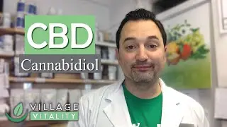 Buying And Using Pure, Potent, High-Quality CBD Hemp Oil: 4 Tips