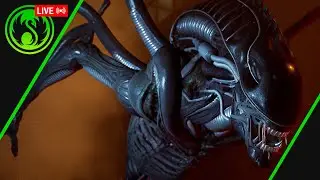 Война с космическими кошками! [Alien: Rogue Incursion]