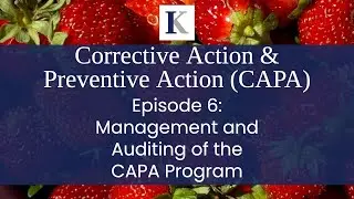 Corrective & Preventive Actions (CAPA) Episode 6: Management and Auditing of the CAPA Program