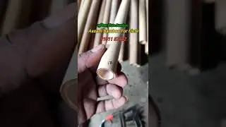 Assam Bamboo For Flute | Raw Bamboo For Flute | #flute |#bamboo  |#shorts