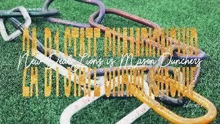 New Deal Lions vs Mason Punchers | 2AD1 State Championship (TEXAS)