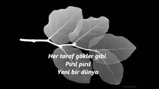 Best Turkish song Yeni bir d&uuml;nya LYRICS (Turkish songs)