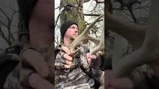 Comparing Deer Rattle Calls | Pack Rack vs Real Deer Antlers #deerhunting #rattling