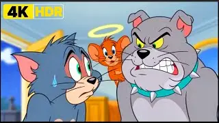 Tom & Jerry Cartoon #TomAndJerry2026