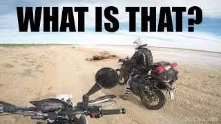 Simpson Desert Adventure! KTM 690 - Part 4 of 6