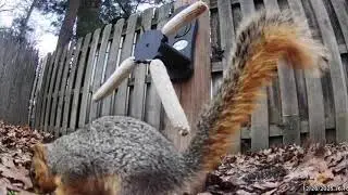 Video Varmints Daily Vlog: December 31st, 2025