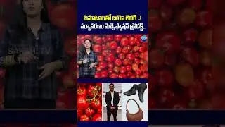 Tomato Waste Into Eco-Friendly Leather in Fashion #TomatoLeather #EcoFriendlyLeather #ytshorts