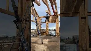 12x12 Timber- Hammer Trusses!   #construction #carpentry #work