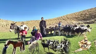 Nomadic adventure in  mountains of Iran |Goat grazing, cooking in nature, clear springs, wild horses