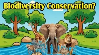 Biodiversity Conservation | In-Situ & Ex-Situ Methods | Strategies to Protect Nature
