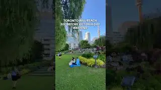Todotoronto | Toronto reached 30 before Victoria Day Weekend #todotoronto #toronto #victoriaday
