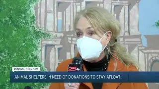 Animal Shelters in need of donations to stay afloat