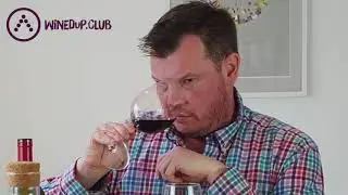 What should your wine glass look like? How do you know it's a good wine glass?