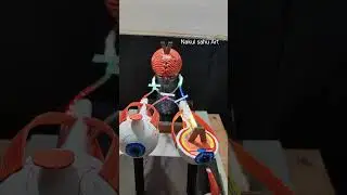 human eye working model | working model of eye for science exhibition | biology #shortsfeed