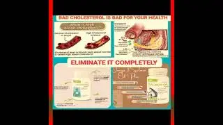OMEGA 3 SALMON OIL PLUS & LIPOTROPIC ADJUNCT 2