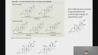 11 14 Steroids