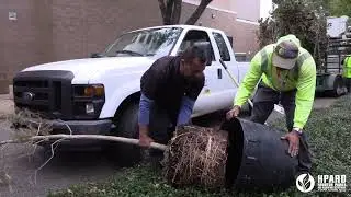 Museum District Tree Planting